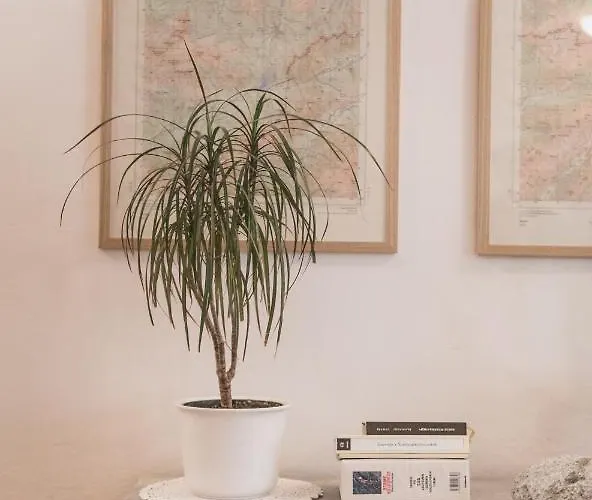 Gorska Roza ベッド・アンド・ブレックファスト ログ・ポット・マンガルトン